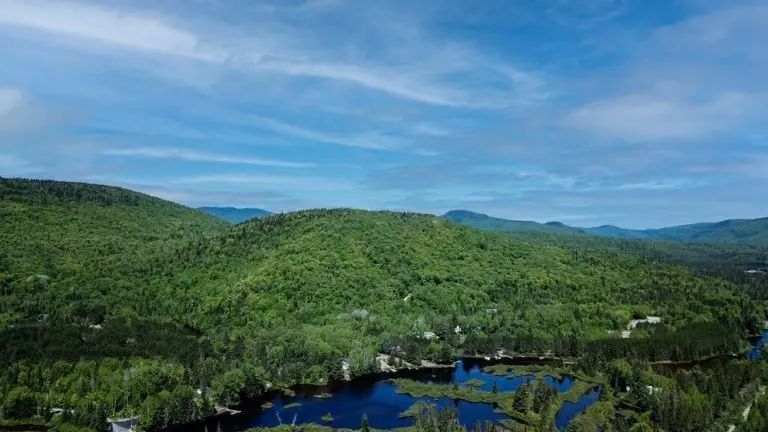 Domaine st donat drone shot 12 768x432