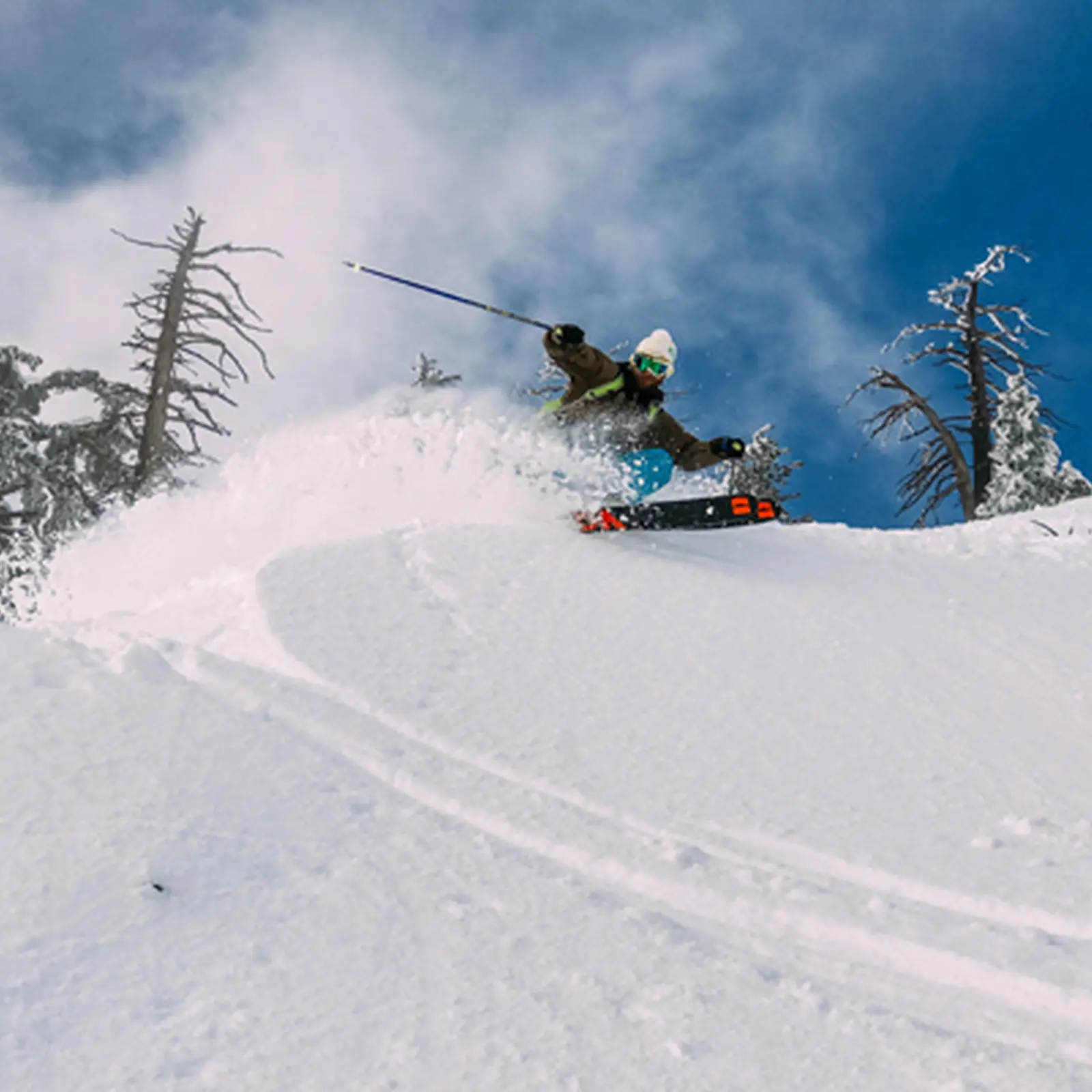 Ski web